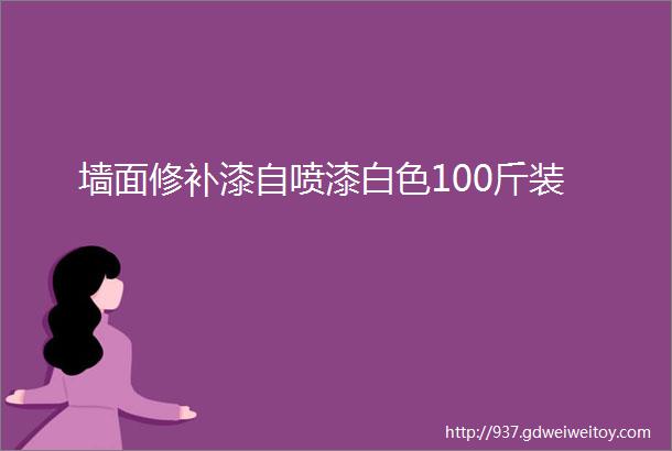 墙面修补漆自喷漆白色100斤装